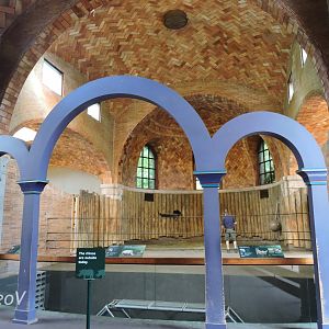 Southern white rhinoceros exhibit [2015]