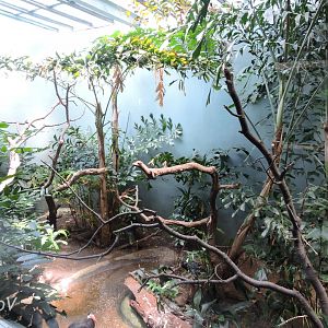 Storm's stork exhibit - Aquatic Bird House [2015]