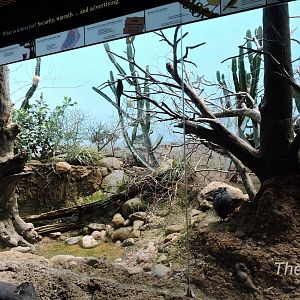 Mixed exhibit - World of Birds [2015]