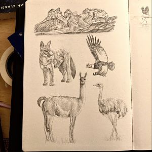Page 1 - National Park drawings