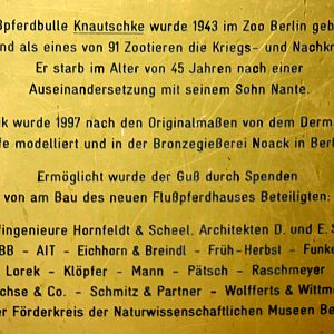Plaque for hippopotamus "Knautschke"; Berlin Zoo; 7th September 2011