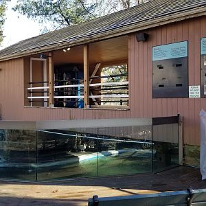 Staten Island Zoo - Bridge to enter children's zoo, over beaver pond