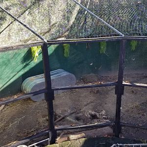 Staten Island Zoo - Beaver land area?