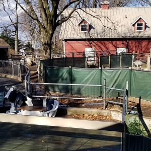 Staten Island Zoo - Children's zoo