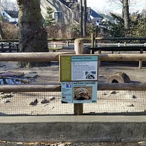 Staten Island Zoo - Area for tortoises in warm weather