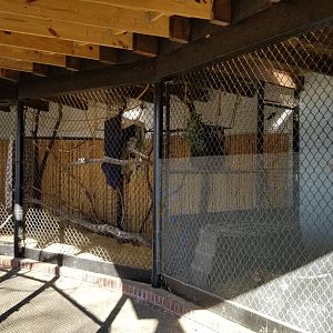 Staten Island Zoo - Presentation area
