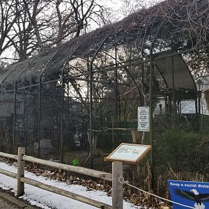 Staten Island Zoo - Aviary