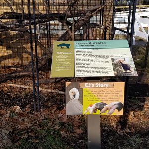 Staten Island Zoo - Tamandua sign