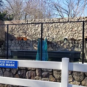 Staten Island Zoo - NA river otters