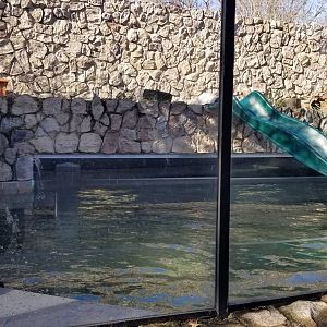 Staten Island Zoo - NA river otters