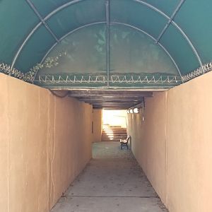 Staten Island Zoo - Tunnel to see NA river otters