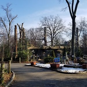 Staten Island Zoo - Amur leopard exhibit