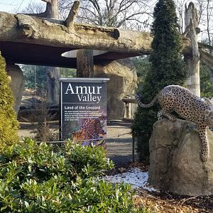 Staten Island Zoo - Amur leopard exhibit