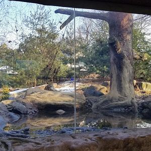 Staten Island Zoo - Amur leopard exhibit