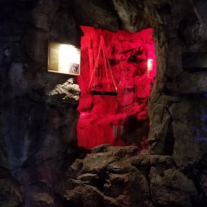 Staten Island Zoo - Seba's short-tailed bat