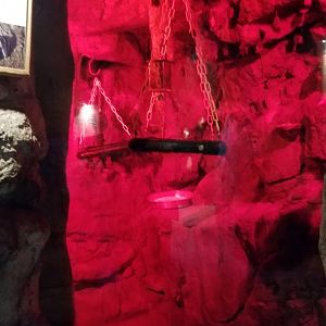 Staten Island Zoo - Seba's short-tailed bat