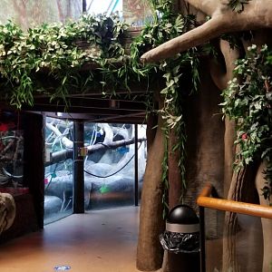 Staten Island Zoo - Pathway