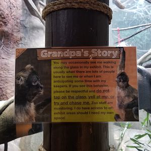 Staten Island Zoo - Black-handed spider monkey sign