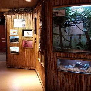 Staten Island Zoo - Jungle wing herps