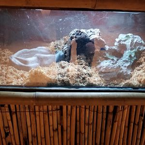 Staten Island Zoo - Unsigned exhibit