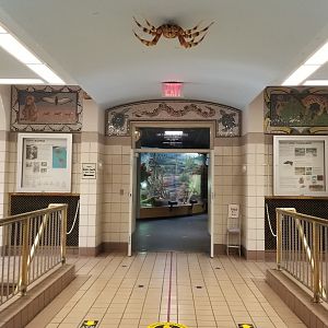 Staten Island Zoo - Entrance to reptile building from aquarium