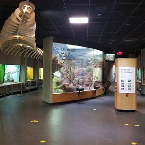 Staten Island Zoo - Reptile building, inside building entrance