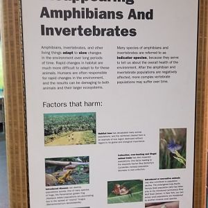 Staten Island Zoo - Signage