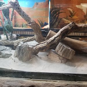 Staten Island Zoo - Unsigned rattlesnake exhibit, didn't see a snake