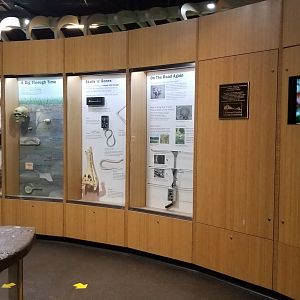 Staten Island Zoo - Signs, video