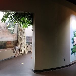 Staten Island Zoo - Alligators on left, anacondass on right