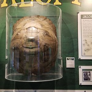 Staten Island Zoo - Remembering Jalopy