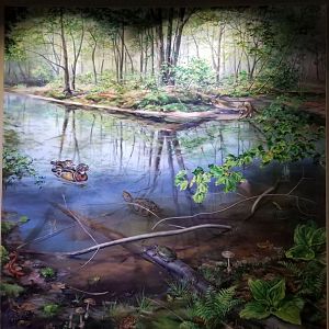 Staten Island Zoo - Vernal pool mural
