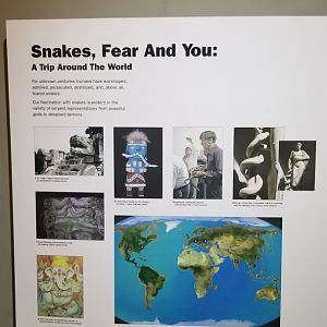 Staten Island Zoo - Snakes, fear, and you