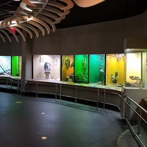 Staten Island Zoo - Venomous snakes