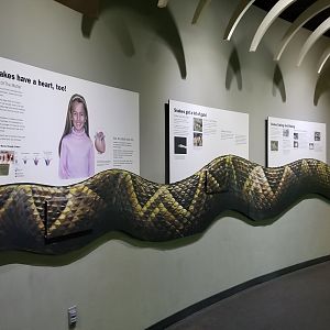 Staten Island Zoo - Snake signs