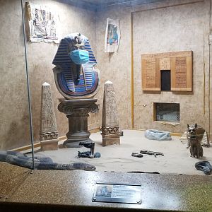 Staten Island Zoo - Egyptian cobra