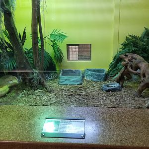 Staten Island Zoo - Eastern diamondback