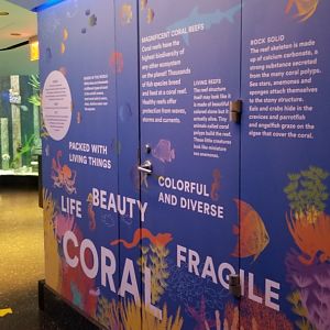 Staten Island Zoo - Aquarium mural example