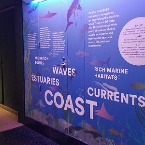 Staten Island Zoo - Aquarium mural example