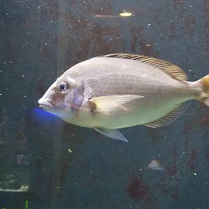 Staten Island Zoo - ID?