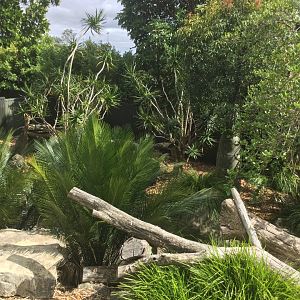 Tasmanian Devil Exhibit