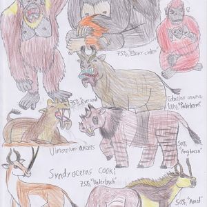 PKC: Hairy Herbivores