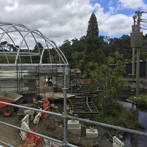 Swamp Forest/Tropical Dome (Opening 2022)