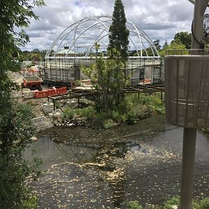 Swamp Forest/Tropical Dome (Opening 2022)