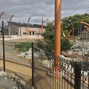 The Lowlands/Sumatran Tiger Exhibit (Opening 2022)