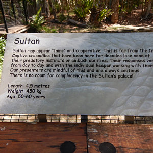 Sultan Signage