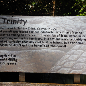 Trinity Signage