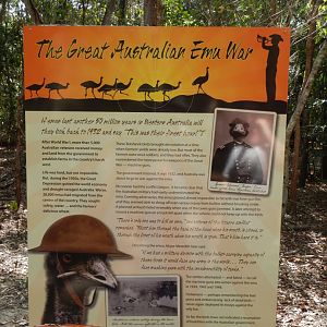 Great Emu War Signage