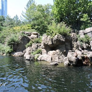 Japanese macaque exhibit [2015]