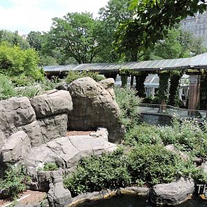 Japanese macaque exhibit [2015]